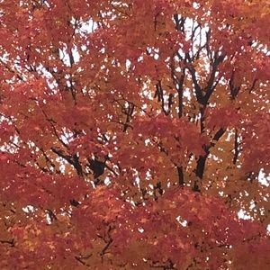 Meet your Posher, Eve